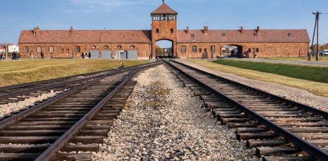 auschwitz tours image